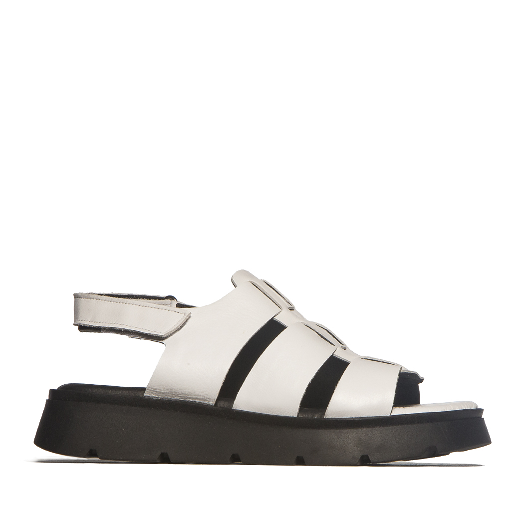 דגם נורית שוטופיה דגם נורית – תמונה 1