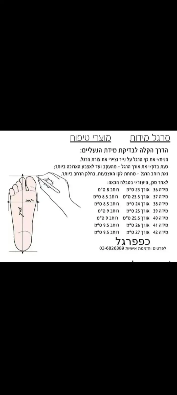 ⁦דגם B6⁩ – תמונה ⁦2⁩