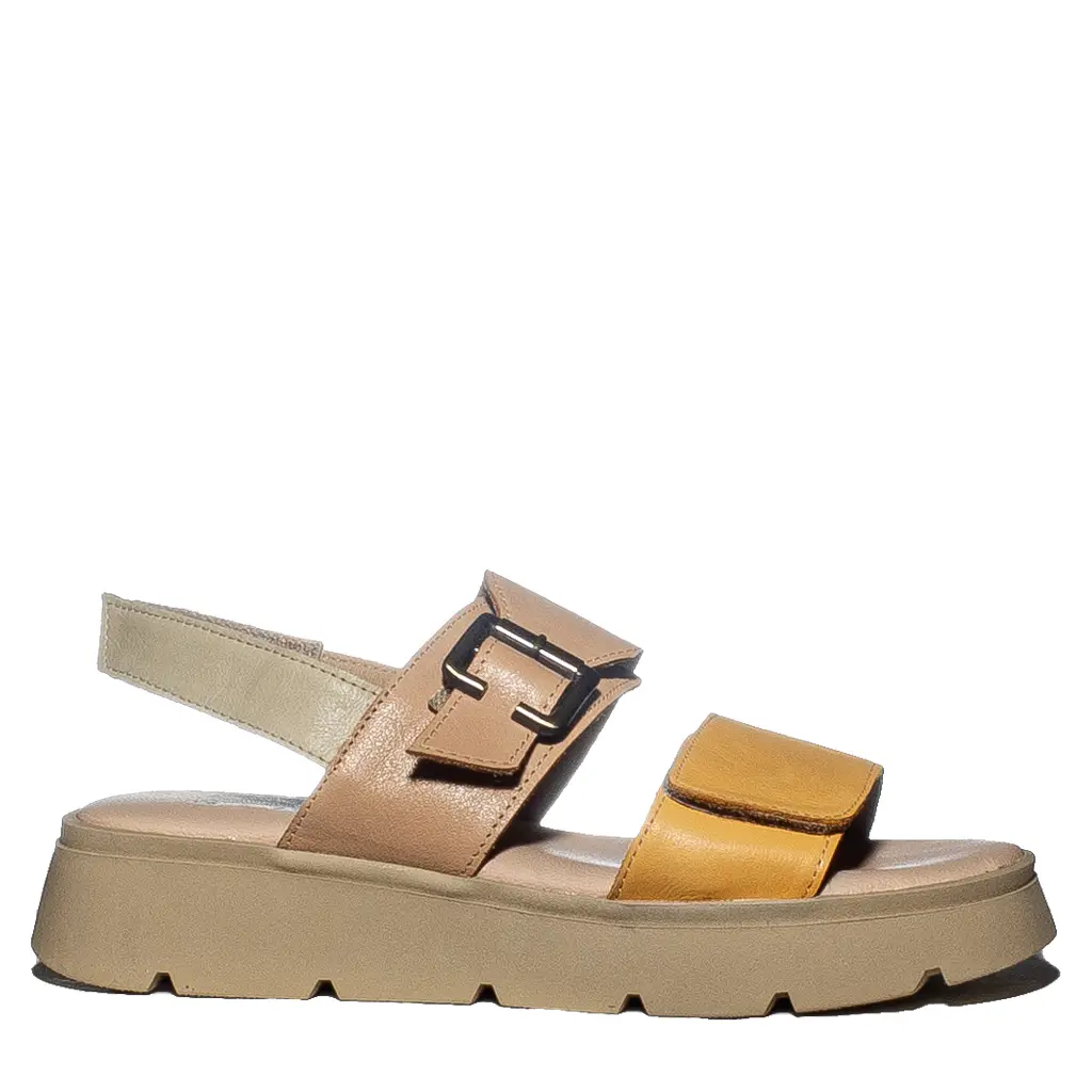 דגם מיכל שוטופיה דגם מיכל – תמונה 1