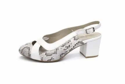 דגם סירה אלגנט