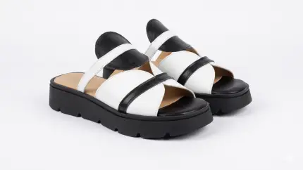 דגם אדם פלטפורמה